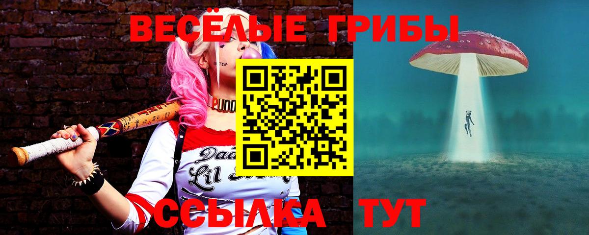Псилоцибиновые грибы прущие грибы Клин