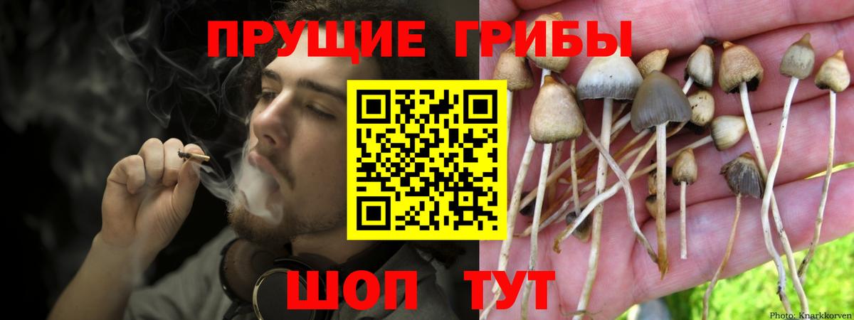 где найти   Вход с VPN  Клин  Галлюциногенные грибы мицелий 